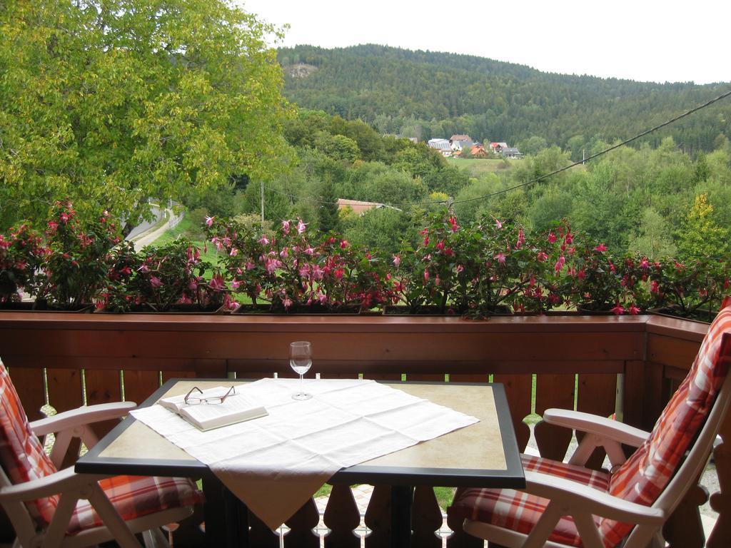 Apartament Haus Am Kreuzbuehl Dachsberg im Schwarzwald Zewnętrze zdjęcie