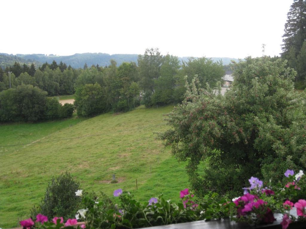 Apartament Haus Am Kreuzbuehl Dachsberg im Schwarzwald Zewnętrze zdjęcie