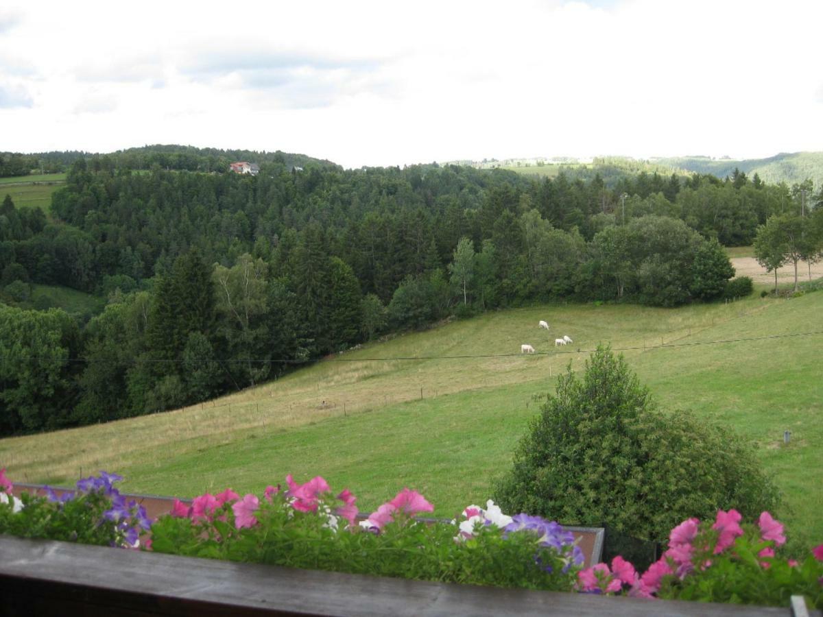 Apartament Haus Am Kreuzbuehl Dachsberg im Schwarzwald Zewnętrze zdjęcie