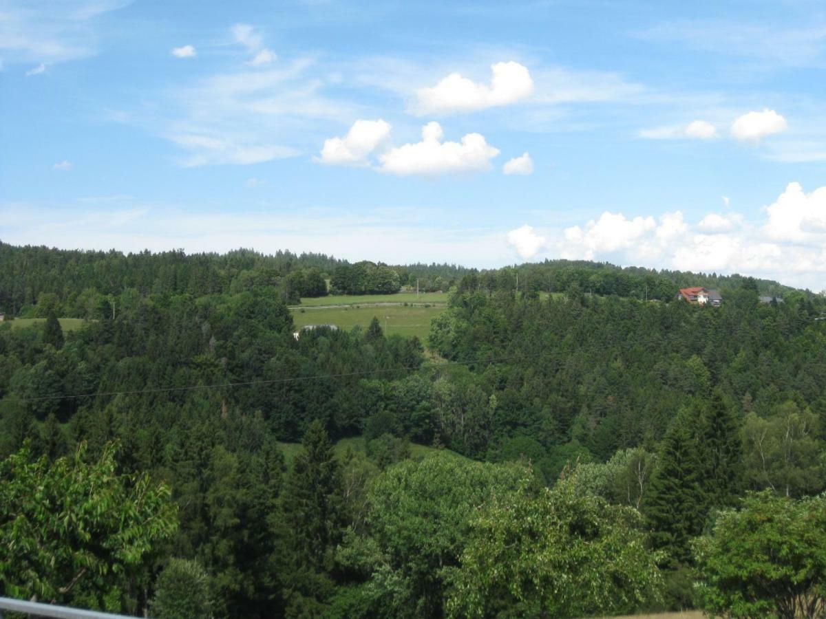 Apartament Haus Am Kreuzbuehl Dachsberg im Schwarzwald Zewnętrze zdjęcie